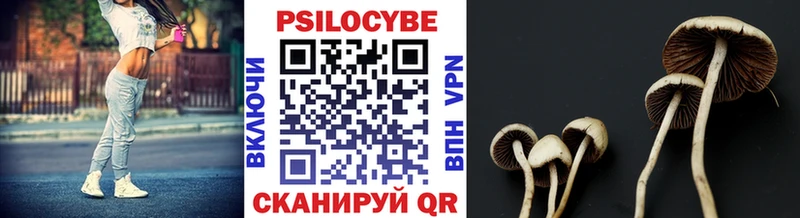 Галлюциногенные грибы GOLDEN TEACHER  Обнинск 