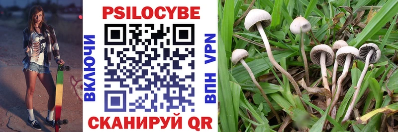 Псилоцибиновые грибы Magic Shrooms Обнинск
